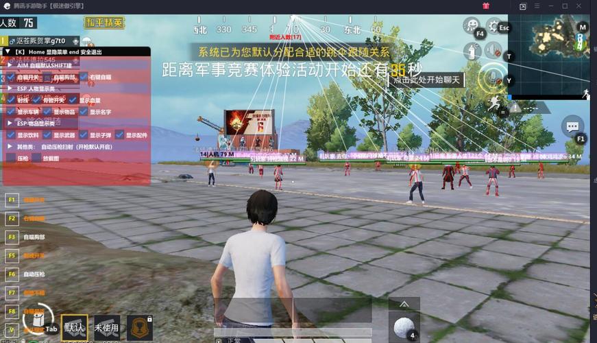 和平精英「小提琴」直装辅助